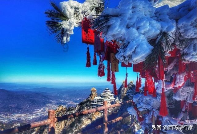 赏金猎人团